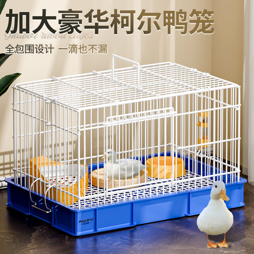 鸭笼柯尔鸭笼子专用养小鸭子的用品家用育雏房室内加大号豪华别墅