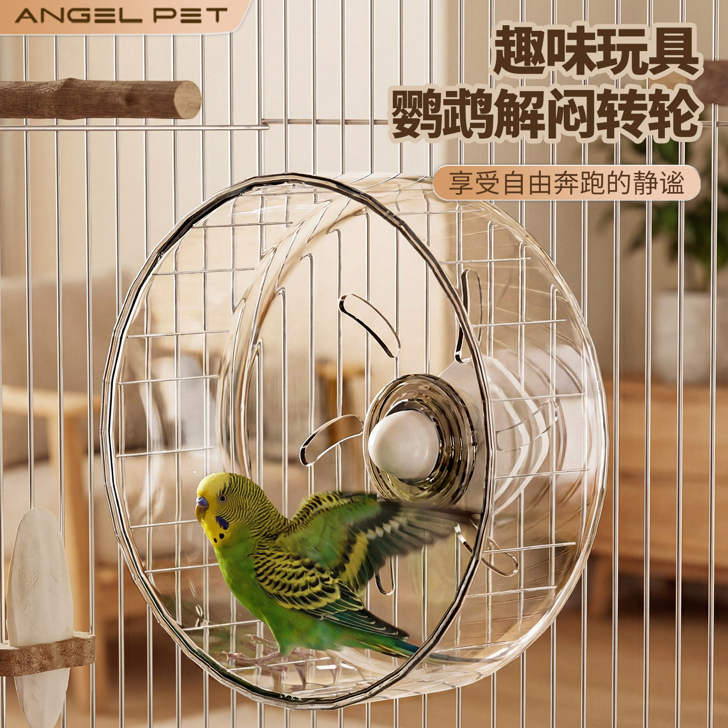 【安吉派特】鹦鹉跑轮运动玩具图片