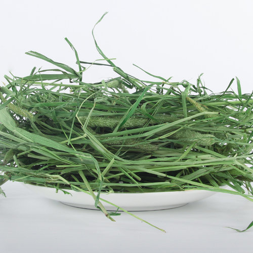 提摩西草兔子干草龙猫成年粮500g