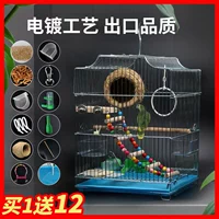 Tiger Parrot Bird Cage Большая модель AKA Trone Peony Parrot Cage Электрическая нержавеющая сталь металлическая птичья клетка дом