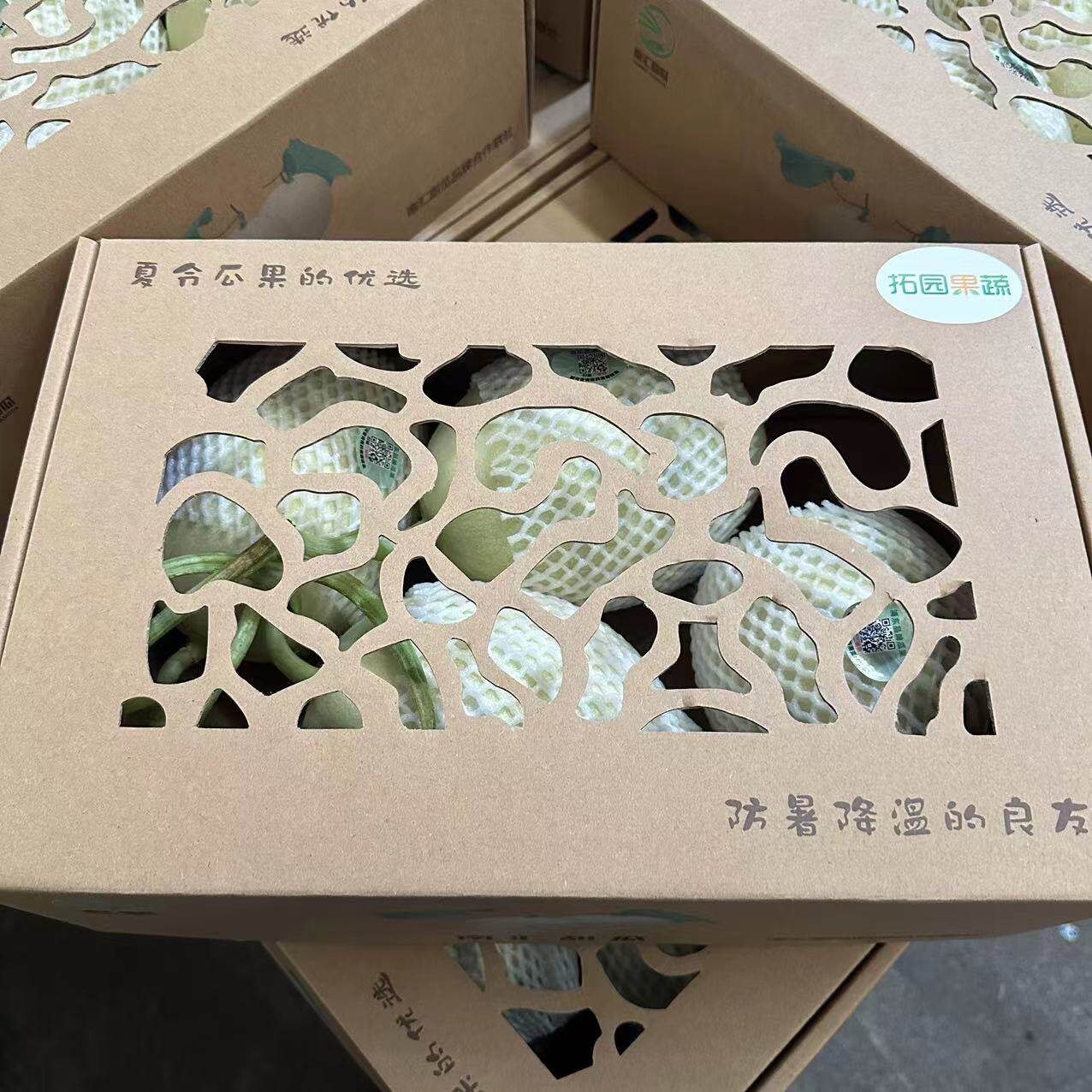 南汇拓园玉菇瓜甜瓜 原箱约10斤4-6个新鲜蜜瓜绿肉绵甜哈密瓜水果
