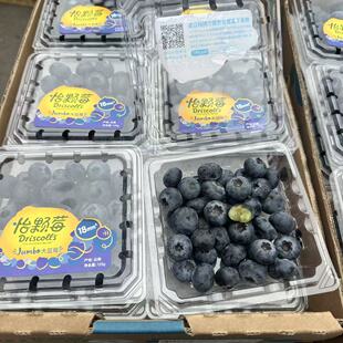 云南怡颗霉蓝莓 普通版18+单盒125g 现摘Driscoll's甜脆国产水果