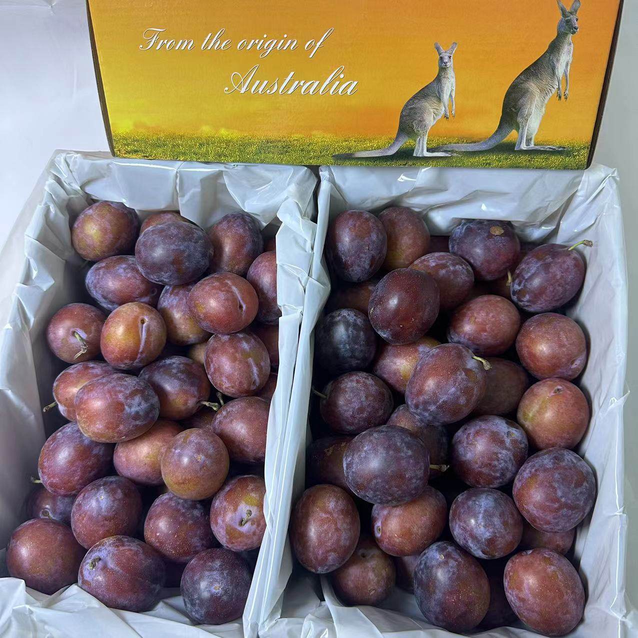 澳洲进口西梅 原箱约4斤中大果新鲜空运李子水果甜脆孕妇宝宝辅食,水产肉类/新鲜蔬果/熟食,李子,淘宝优惠券,粉丝福利购,淘宝优惠卷