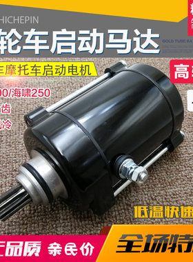 摩托车宗申海啸启动电机
