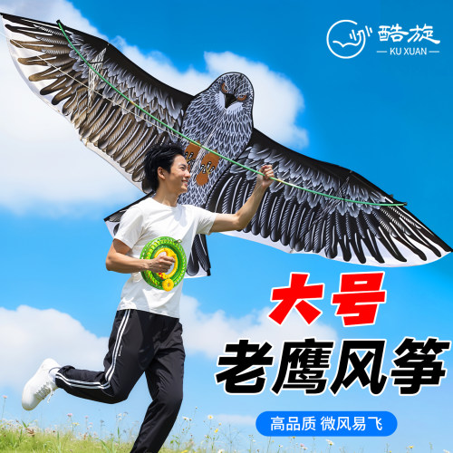 2026新款潍坊老鹰巨型微风风筝