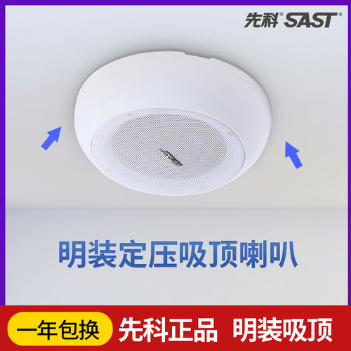 功放套装背景音乐悬挂吸顶喇叭