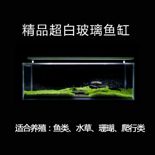 高清玻璃办公桌面中大型乌龟缸