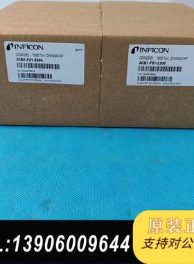 INFICON真空计G025D，1000Torr测量范围需问价