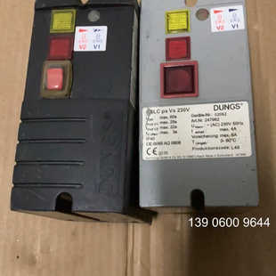 冬斯燃燒機檢漏控制器DSLC 230V 兩個需問價