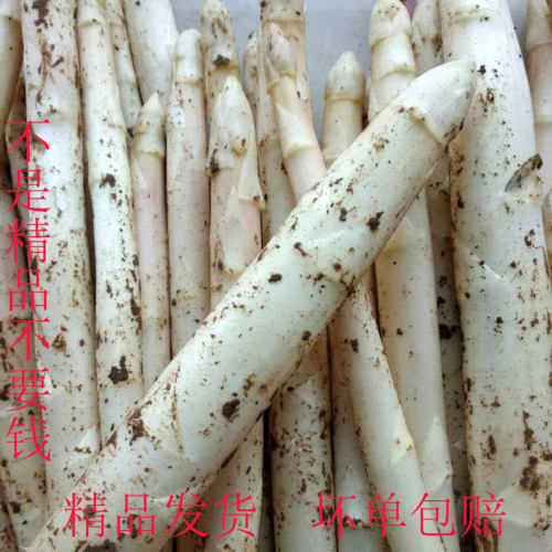 白芦笋3斤新鲜时令蔬菜露天芦笋龙须菜农家现挖现发山东菏泽特产