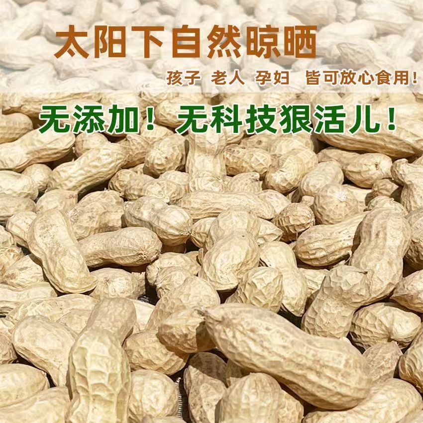 2026年自然晒干带壳花生农家自种
