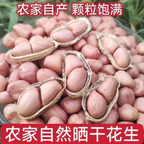 26年山东大粒新鲜带壳干花生包邮