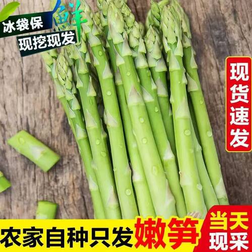 新鲜青芦笋当季新青芦笋净重发货