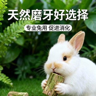 天然烘干木瓜墩兔兔磨牙墩子助毛排毛咬木玩具兔子零食