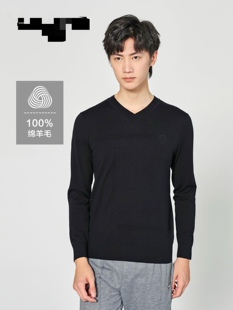 170号利家春秋冬男士商务休闲v领薄毛衣套头长袖打底针织衫
