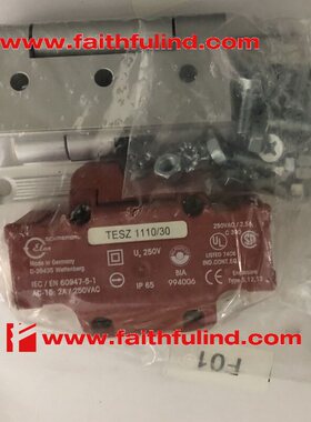 Schmersal 101030067 施迈赛安全铰开关 TESZ 1110/30 101030510