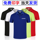 文化衫 polo衫 翻领短袖 工衣速干订制logo 定制广告衫 工作服t恤夏季