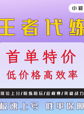 高端工作室王者荣耀代打代练大小国标省标排位战力巅峰赛陪玩陪练