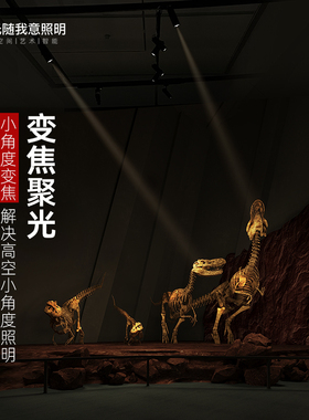 小角度3度变焦聚光束氛围高空餐桌博物馆清吧餐饮led智能轨道射灯