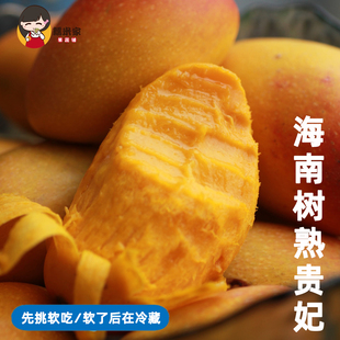 糯米家海南树熟现摘小贵妃芒果香甜多汁核薄收到几乎就能吃先吃软
