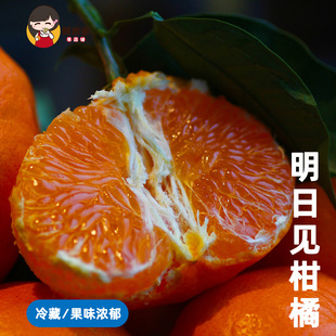 糯米家高山明日见柑橘浓郁甜多汁轻奢新贵新品种风味十足孕妇水果