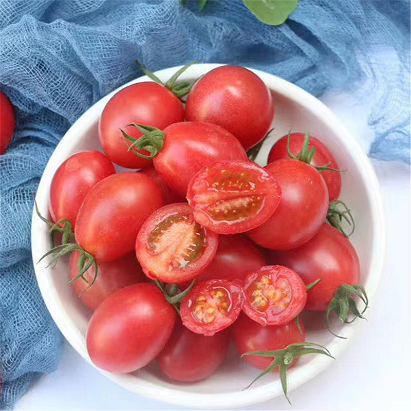 一周排！糯米家电白千禧圣女果阳光小番茄小西红柿水果爆汁脆甜,水产肉类/新鲜蔬果/熟食,番茄,淘宝优惠券,粉丝福利购,淘宝优惠卷