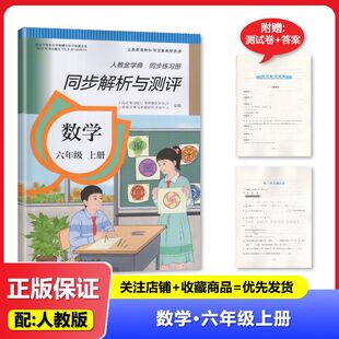 2025秋 适用于人教版 同步解析与测评 数学 六年级上册/6年级上册 人民教育出版社 小学 人教版金学典 同步练习册 教辅
