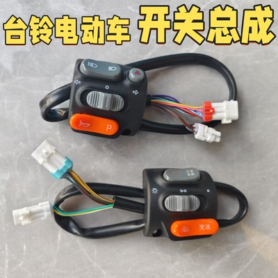 台铃苍穹eb转把塞北夺冠标致宗师总成开关电动车原装组合按钮配件