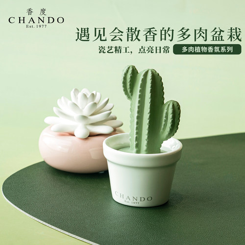 香度CHANDO多肉植物香薰礼盒摆件