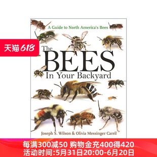 Joseph Wilson Bees 进口英语原版 蜜蜂 英文版 The Backyard 后院 北美蜜蜂指南 英文原版 书籍 Your