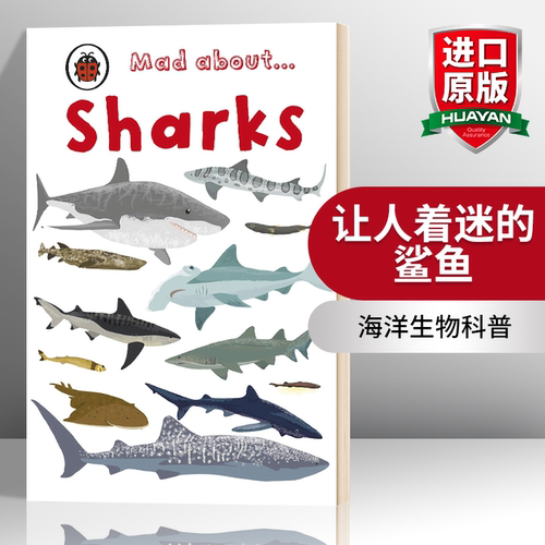 华研原版 让人着迷的鲨鱼 英文原版绘本 Mad About Sharks Mad about系列 海洋生物动物科普 英文版 进口英语书籍