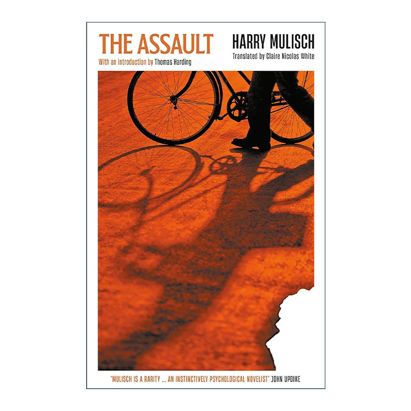 英文原版 The Assault 暗杀 荷兰作家哈里·穆里施 Mulisch Harry 英文版 进口英语原版书籍