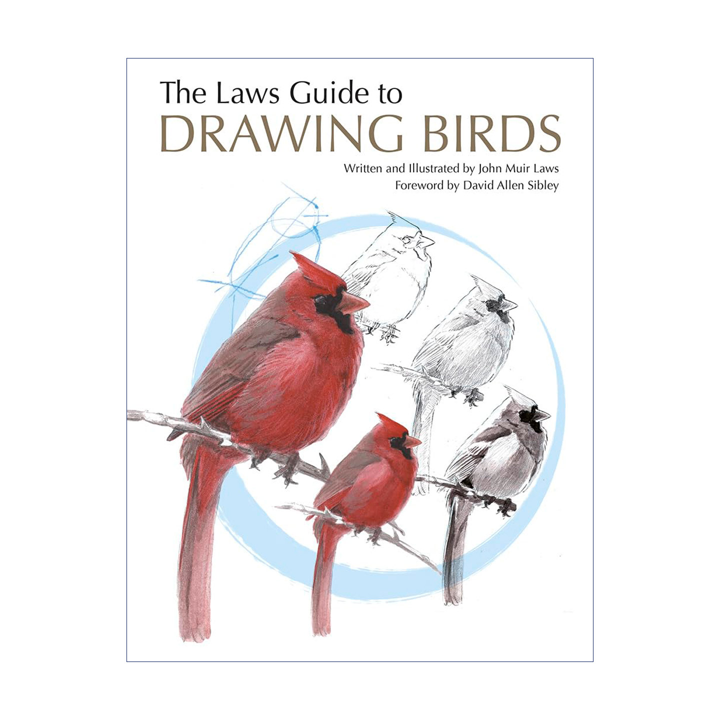 鸟类绘画的第一堂课 英文原版 The Laws Guide to Drawing Birds 美国自然学家约翰劳斯赏鸟与画鸟指南 John Muir Laws 进口英语书