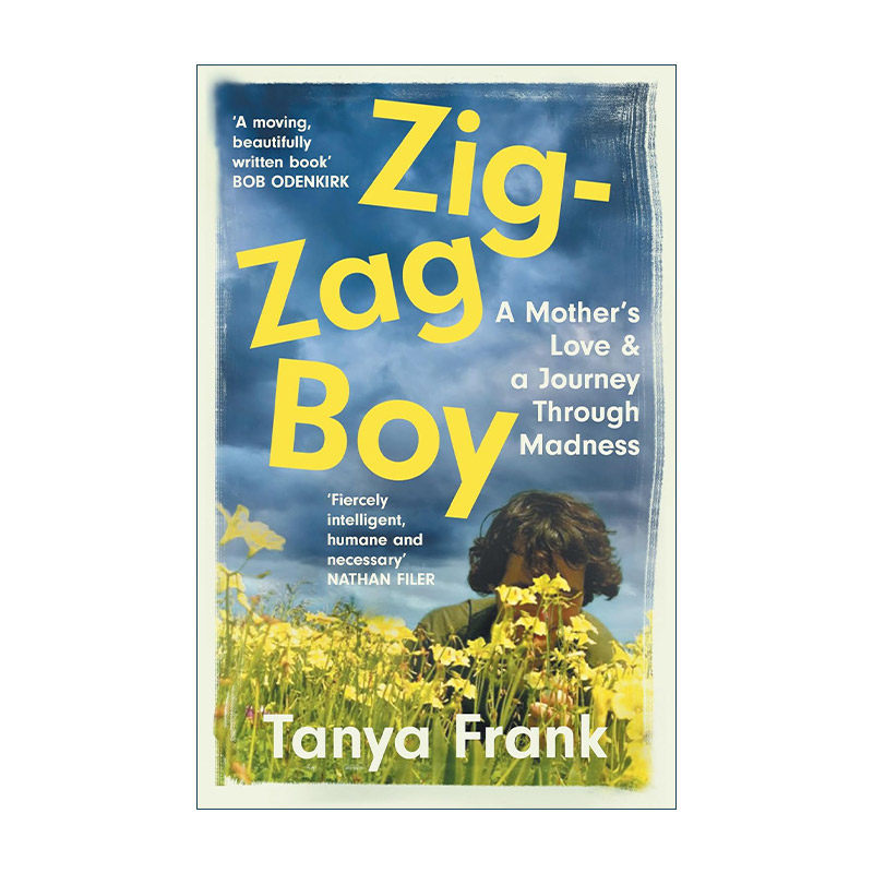 英文原版 Zig-Zag Boy 象海豹出现的时刻 一个懂得如何去爱的妈妈 孩子的心理医生 塔尼亚·弗兰克 英文版 进口英语原版书籍