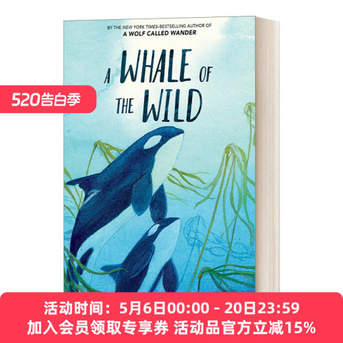 英文原版 A Whale of the Wild 野生鲸鱼 荒野之声系列 动物主题插图小说 儿童英语课外阅读 英文版 进口英语原版书籍