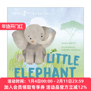 小象的一天  英文原版 Little Elephant A Day in the Life of a Calf 儿童动物精装绘本 Really Wild Families 进口书籍
