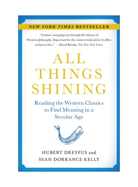 英文原版 All Things Shining 万物闪耀 在世俗时代过有价值的生活 加州大学教授Hubert Dreyfus 英文版 进口英语原版书籍