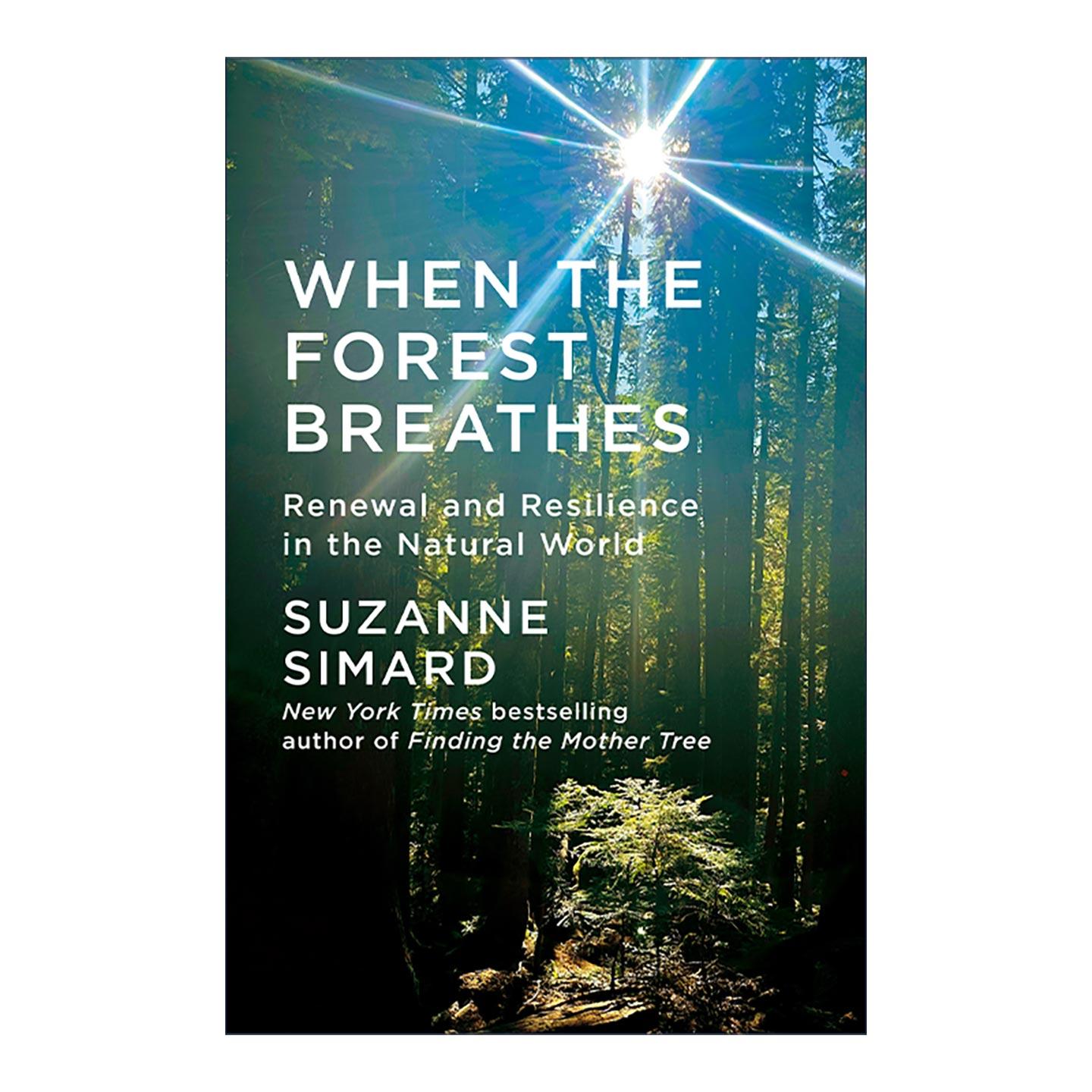 英文原版 When the Forest Breathes 当森林在呼吸 自然界的更新和复原力 森林之歌作者苏珊娜·西马德 英文版 进口英语原版书籍