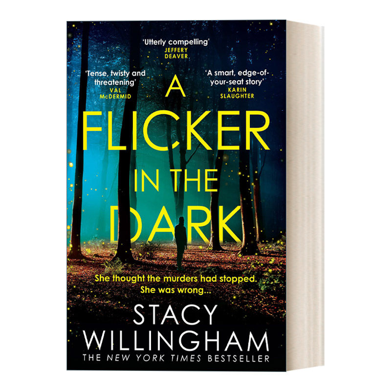 英文原版 A Flicker In the Dark 黑暗中的闪烁 斯黛茜·威灵翰 英文版 进口英语原版书籍,书籍/杂志/报纸,文学小说类原版书,淘宝优惠券,粉丝福利购,淘宝优惠卷