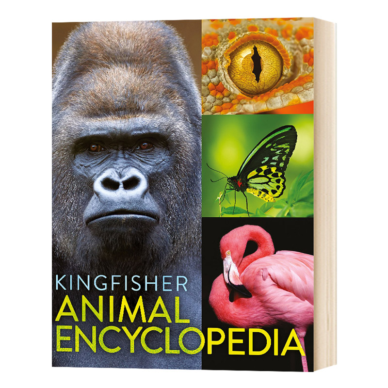 翠鸟动物百科全书 英文原版 The Kingfisher Animal Encyclopedia 少儿科普百科 英文版进口原版英语书籍