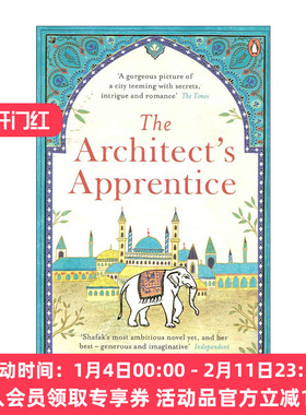 英文原版 The Architect's Apprentice 建筑师的学徒 艾丽芙·沙法克小说 英文版 进口英语原版书籍