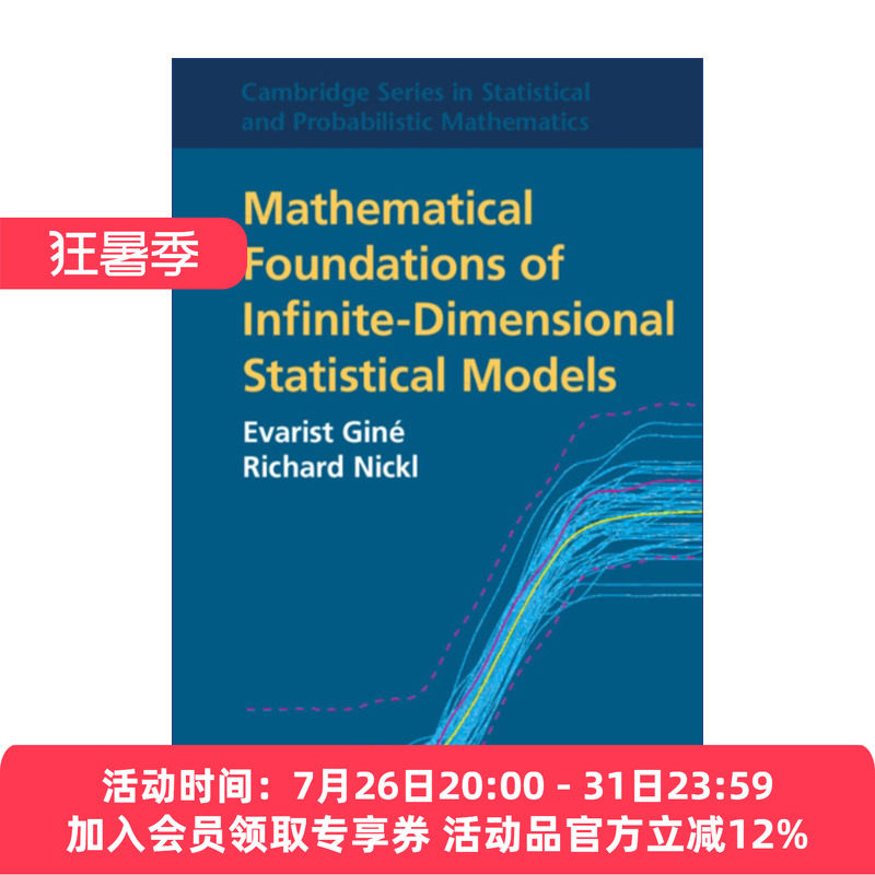无穷维统计模型的数学基础 英文原版 Mathematical Foundations of Infinite-Dimensional Statistical Models 剑桥统计与概率数学