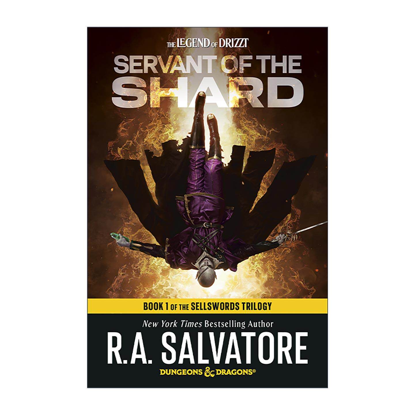 英文原版 Servant of the Shard Dungeons & Dragons The Sellswords Trilogy 01 碎片仆从 龙与地下城 雇佣兵三部曲1 英文版