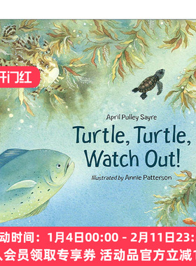 英文原版 Turtle Turtle Watch Out 乌龟 小心 儿童绘本 人与自然 April Pulley Sayre 英文版 进口英语原版书籍