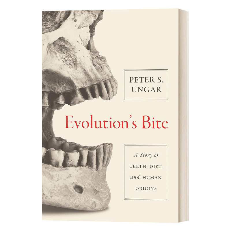 进化的咬痕 英文原版 Evolution's Bite 牙齿 饮食与人类起源的故事 平装 英文版 进口英语原版书籍