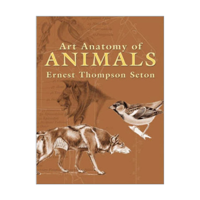 英文原版 Art Anatomy of Animals 动物艺术解剖学 Ernest Thompson Seton 英文版 进口英语原版书籍