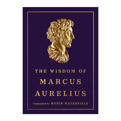 英文原版 The Wisdom of Marcus Aurelius 马库斯·奥勒留智慧集 精装 英文版 进口英语原版书籍