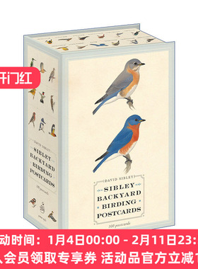 西布利鸟类明信片 英文原版 Sibley Backyard Birding Postcards 观鸟指南 David Sibley 英文版 进口英语原版书籍