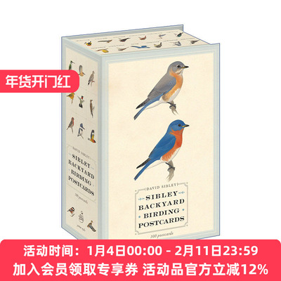 西布利鸟类明信片 英文原版 Sibley Backyard Birding Postcards 观鸟指南 David Sibley 英文版 进口英语原版书籍