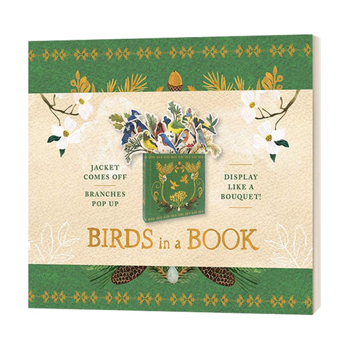 英文原版 Birds In A Book Uplifting Editions 创意鸟笼活动书 英文版 进口英语原版书籍